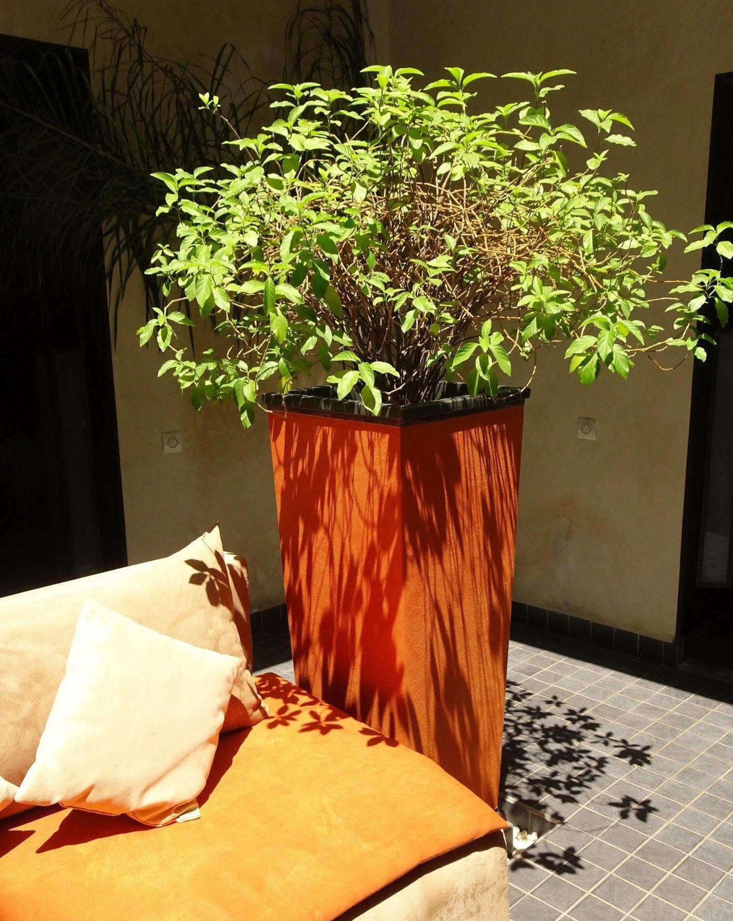 Riad Pierres Et Saveurs Soleil Marrakesh Eksteriør bilde
