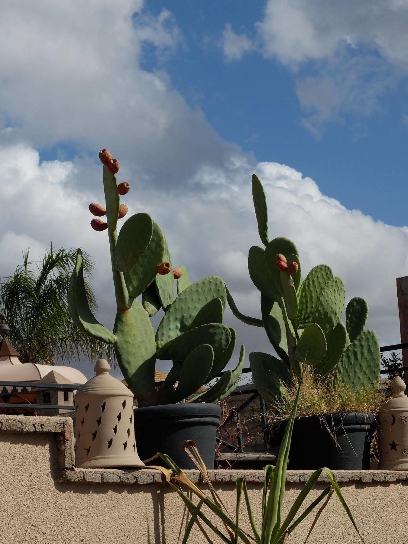 Riad Pierres Et Saveurs Soleil Marrakesh Eksteriør bilde